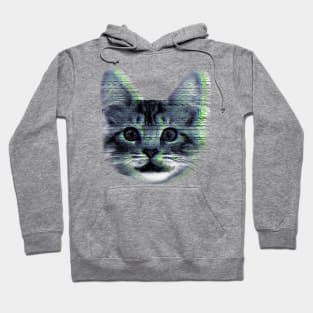 Glitch house cat Hoodie